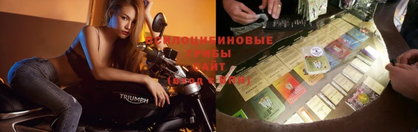 марки nbome Нефтекумск