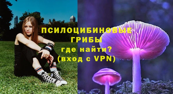 СК Нефтегорск