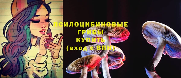 индика Барнаул