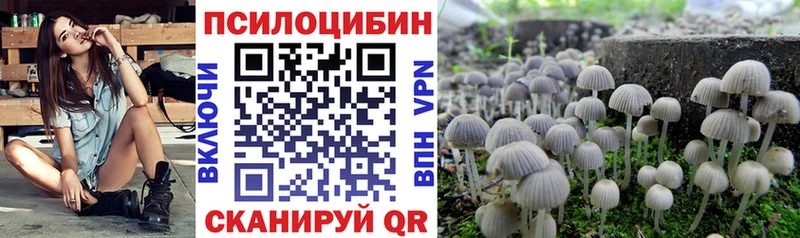 где продают   Усмань  Галлюциногенные грибы MAGIC MUSHROOMS 